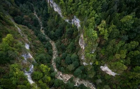 Посадки в крыму