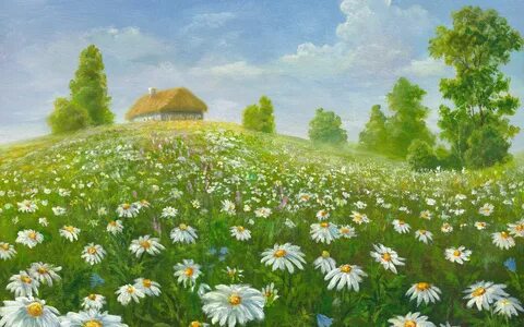 Нарисованное поле ромашек