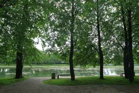 Г парковое