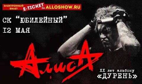 Алиса дурак