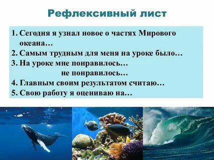 Какие высказывания являются верными о мировом океане