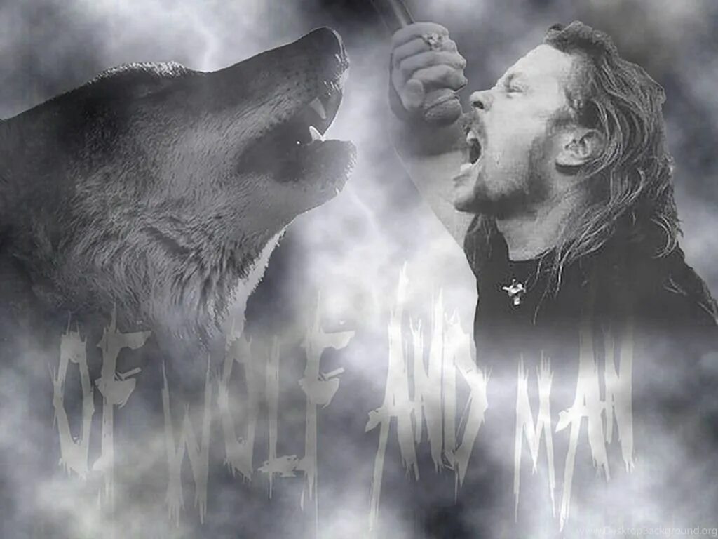 Загнанный зверь 10. Человек человеку волк. Мужчина волк.