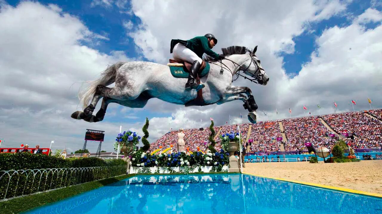 Эквестриан Стокгольм конкур. Лошадь прыгает. Лошадь перепрыгивает. Лошадь в прыжке. Show jumping