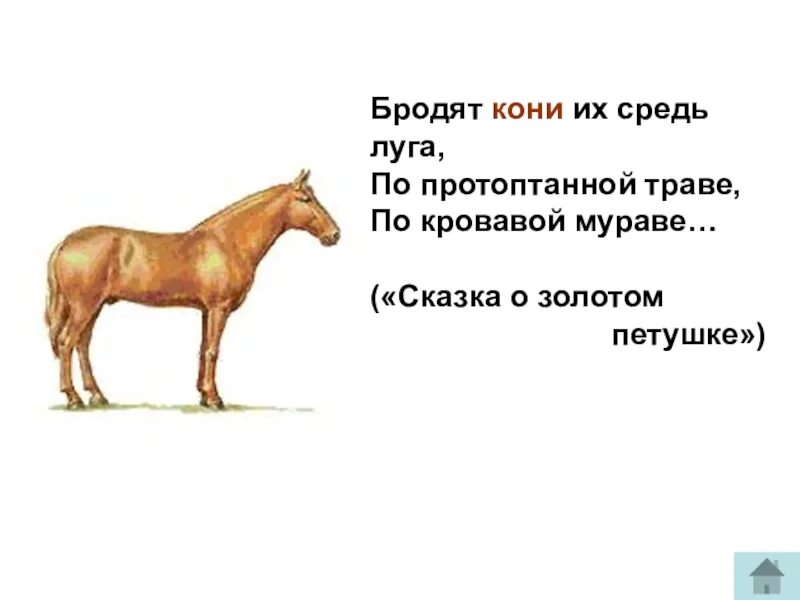 Конь лексическое значение. Обозначение слова лошадь. Предложение со словом конь. Конь слова.