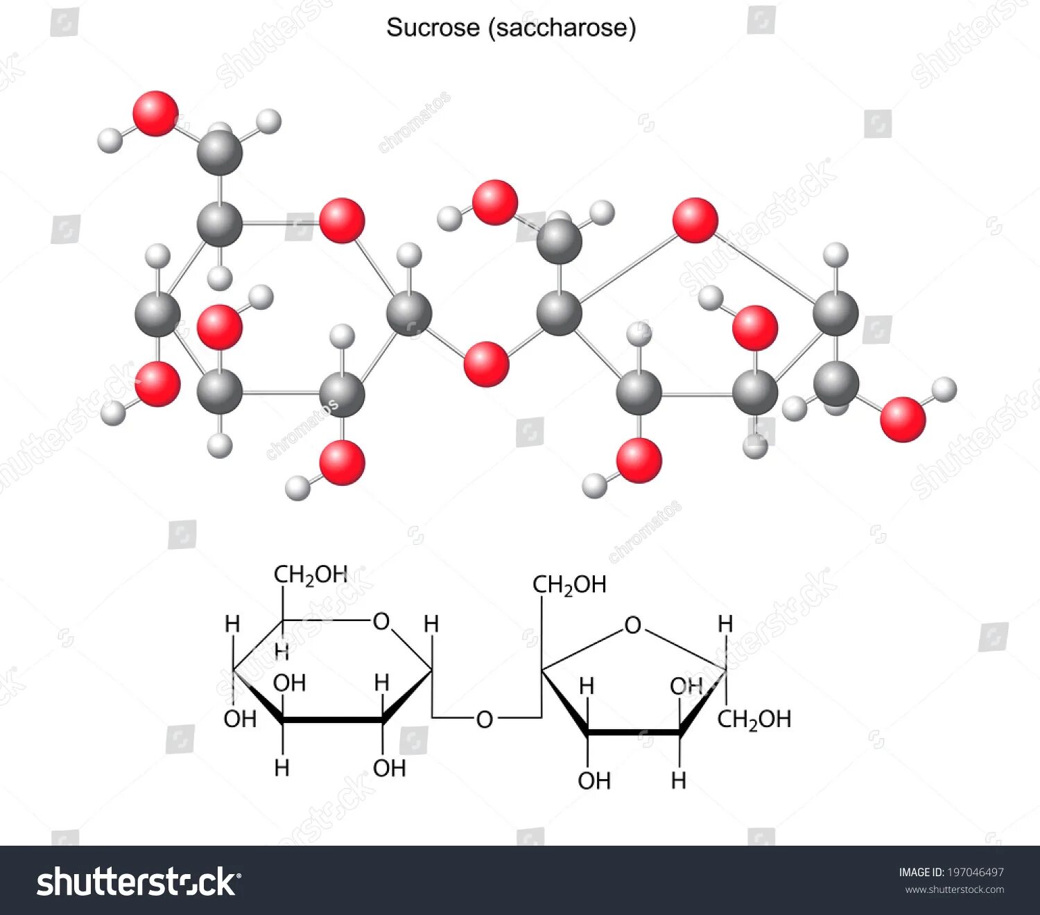 Рост сахарозы. Сахароза геншин вики. Сахароза геншин пол. Сахароза геншин в полный рост. Рост сахарозы.