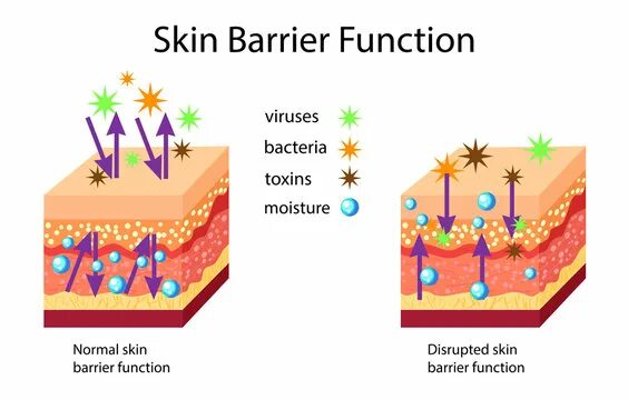 Как выглядит нарушение кожного барьера на лице High-End Skin Softening :: Behance