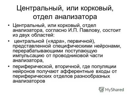 Какие импульсы поступают в корковый отдел анализатора