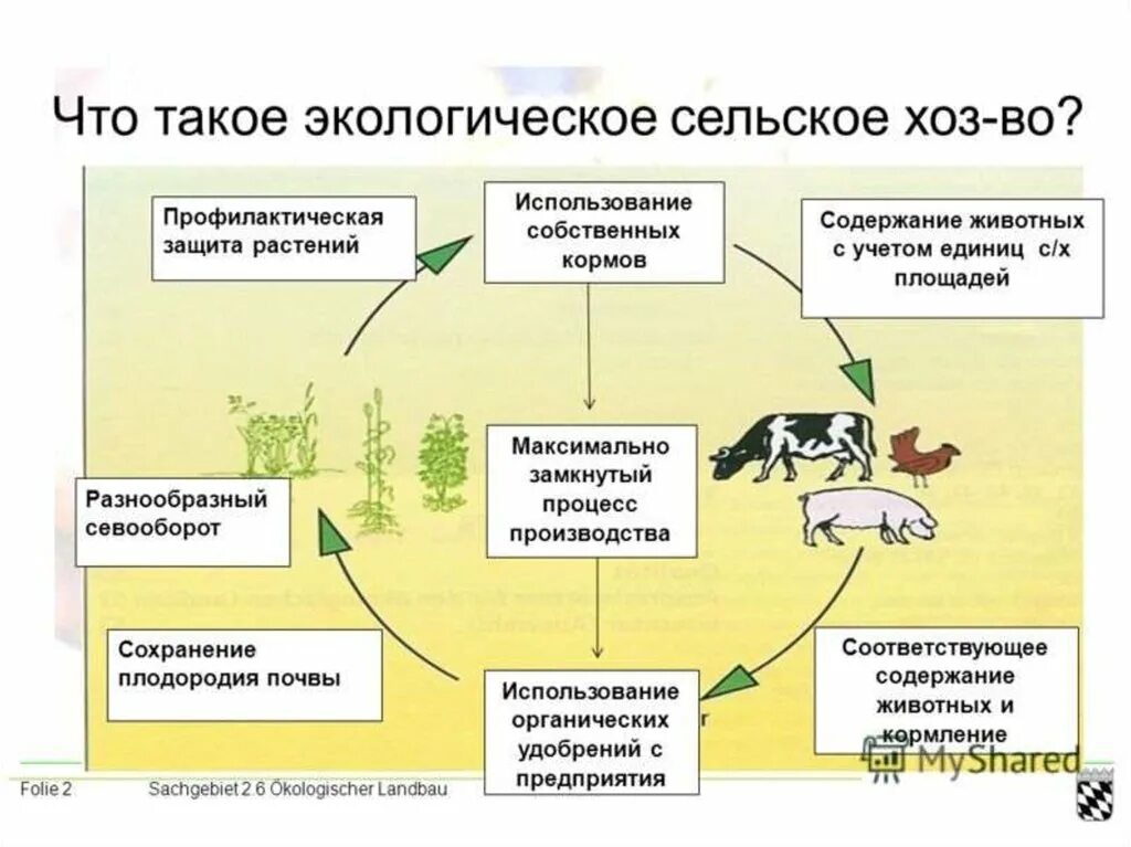 Направления хозяйственного использования. Влияние сельского хозяйства на окружающую среду. Экологические процессы. Влияние животноводства на окружающую среду. Экологическое сельское хозяйство.