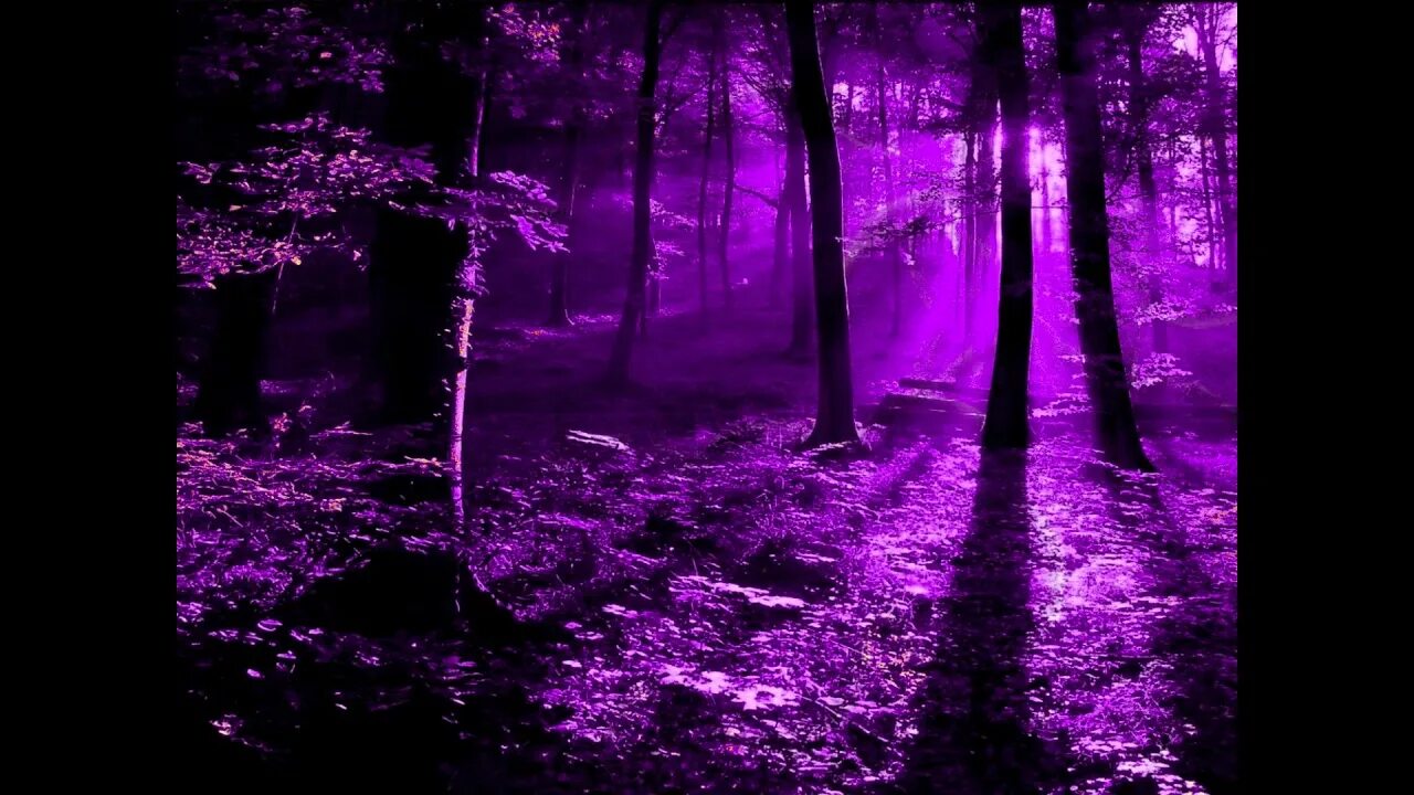 Песня чисто фонк. Фиолетовый. Фиолетовая Эстетика. Розовый лес.