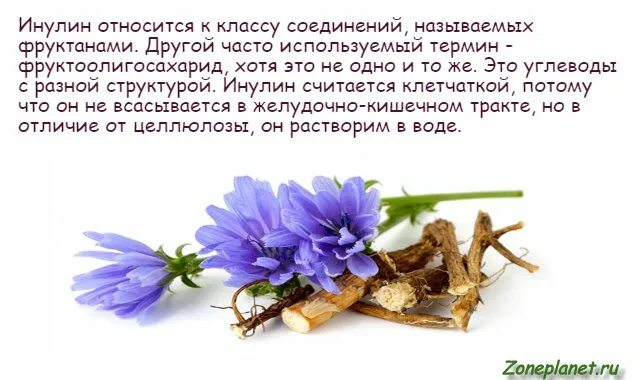 Инулин для чего применяется. Инулин для чего применяется