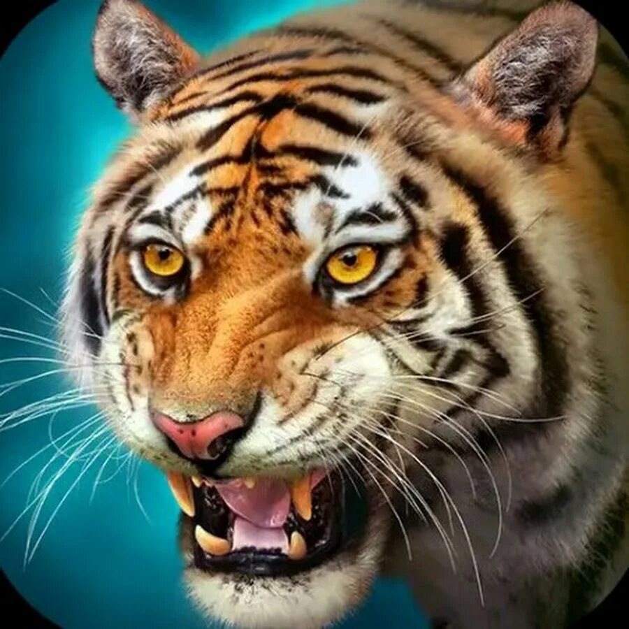 Тигрица с тигрятами. Могучий тигр. Зоопарк претории. Фото с тигром играющим в москве. Играющий тигр.