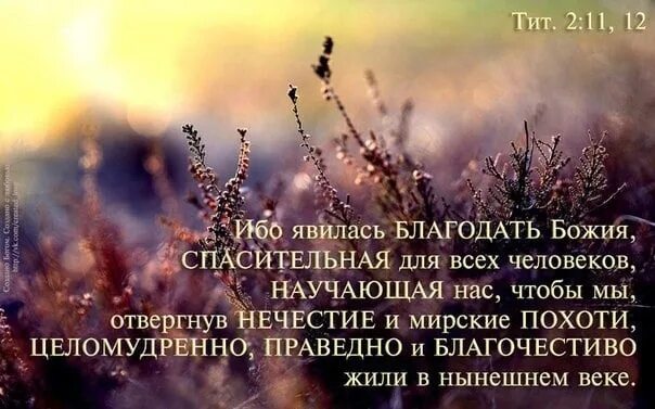 Ибо явилась Благодать Божия спасительная. Явилась Благодать Божия спасительная для всех человеков. Ибо явилась Благодать спасительная для всех человеков. Жили благочестиво и праведно это. Какова благодать