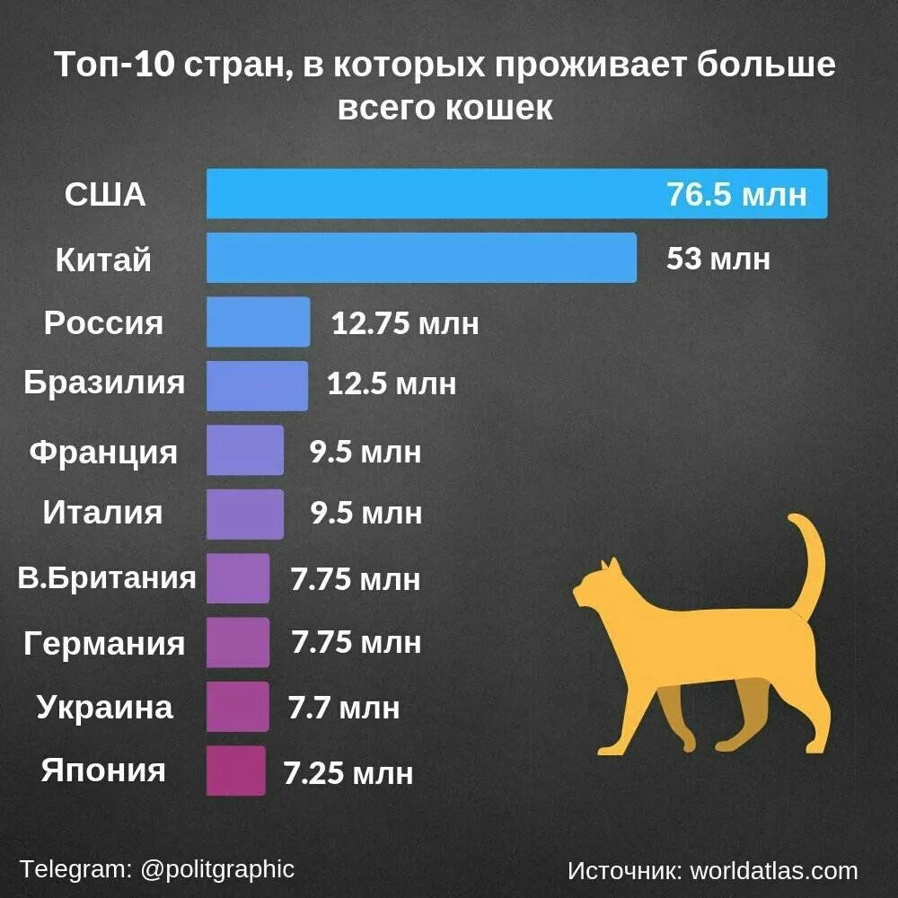 Сколько сейчас собак