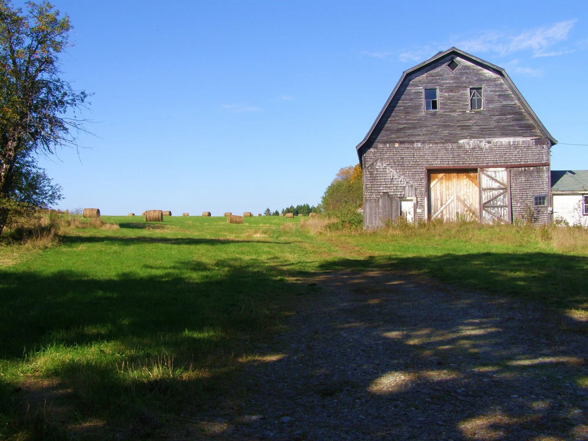 Old field
