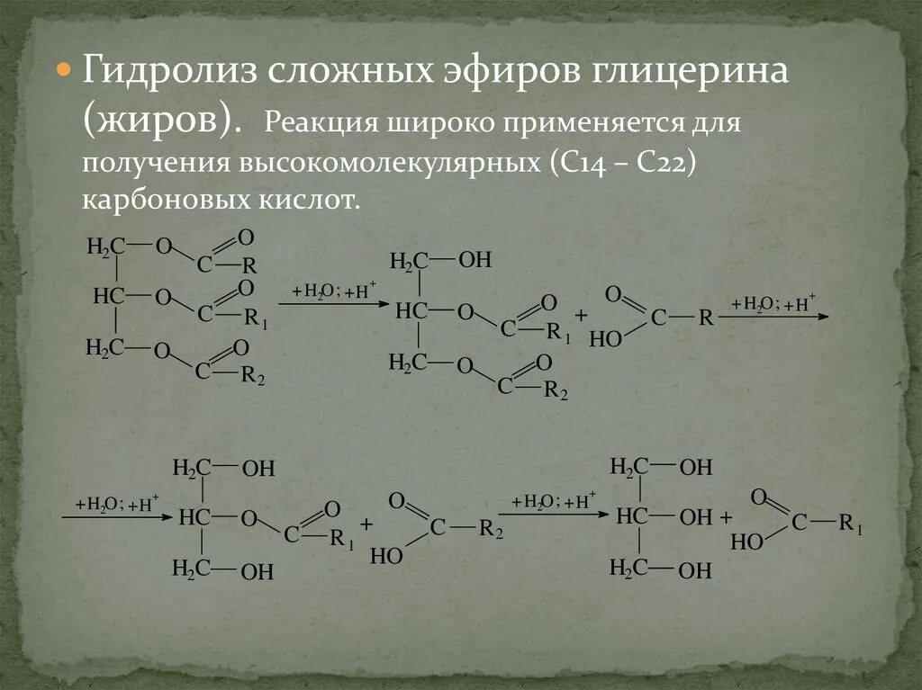 Гидролиз жиров водой. Этиловый эфир глицерина гидролиз. Гидролиз сложных эфиров. Гидролиз сложных эфиров и жиров. Щелочной гидролиз сложных эфиров.