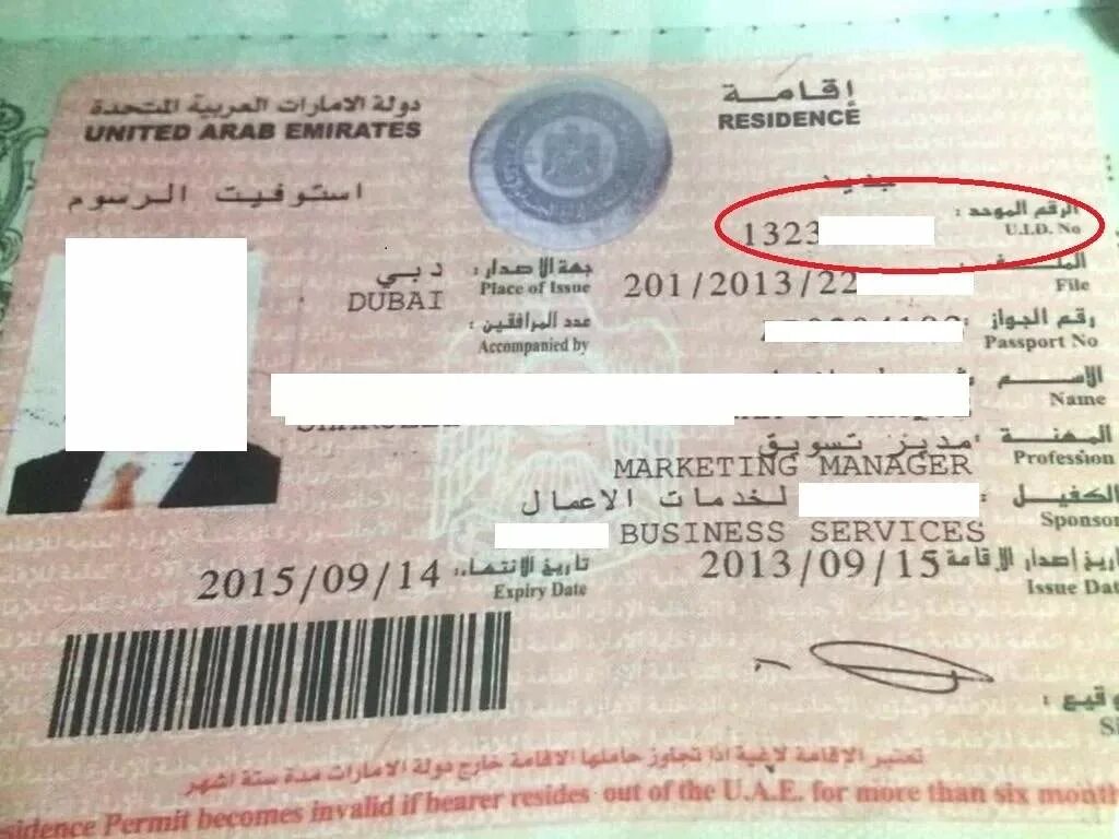 United arab Emirates Residence visa number. Виза в Дубай. Номер визы ОАЭ. Виза резидента в Дубае.