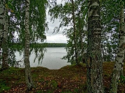 Погода в елнати