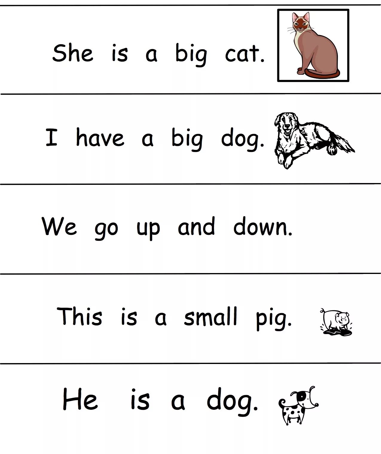 Practice reading sentences