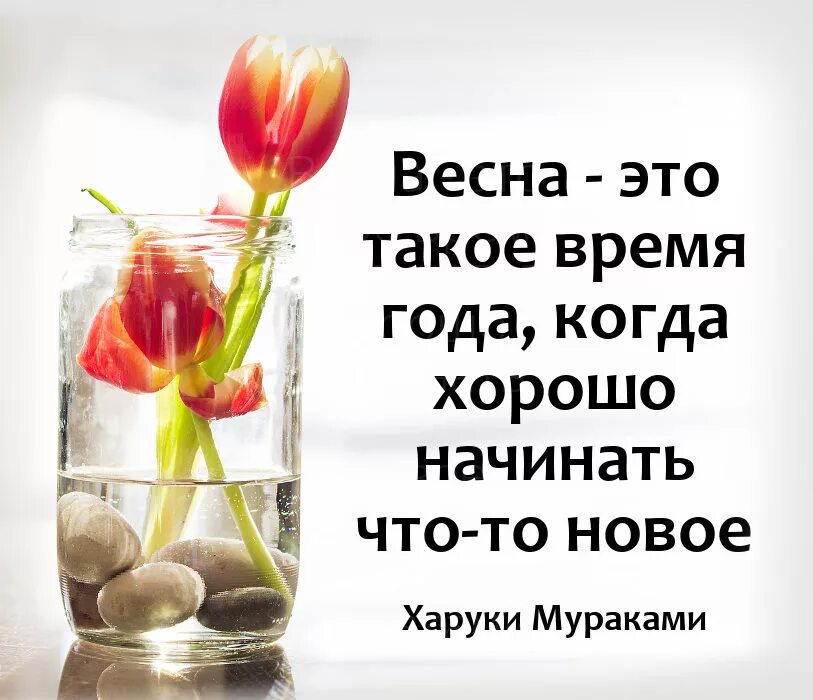 Про весну со смыслом. Цитаты про весну. Афоризмы про весну. Весенние фразы. Весенние цитаты.