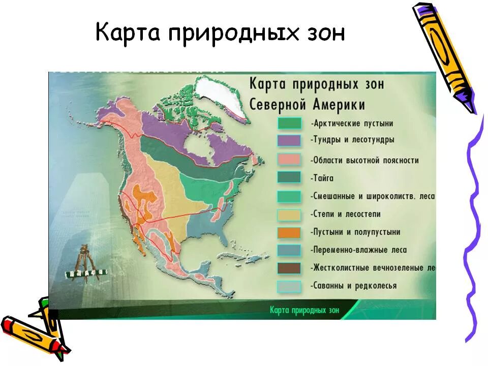 Карта природных зон Северной Америки 7 класс. Карта природных зон Северной Америки 7 класс география. Карта природных зон Америки. Природный соны Северной Америки. Большую часть северной америки занимает природная зона