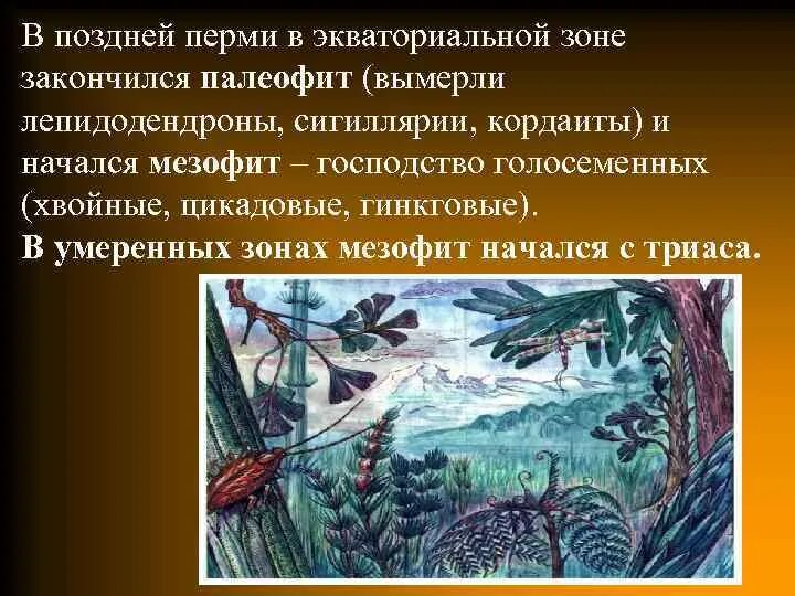 Период начинается и заканчивается. Голосеменные растения Пермского периода. Пермский период основные события. Пермский период кратко. Пермский период изменения.