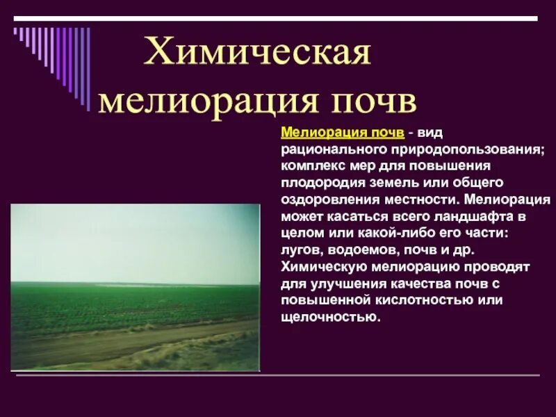 Саратовская область получит более 760 млн рублей на развитие мелиорации