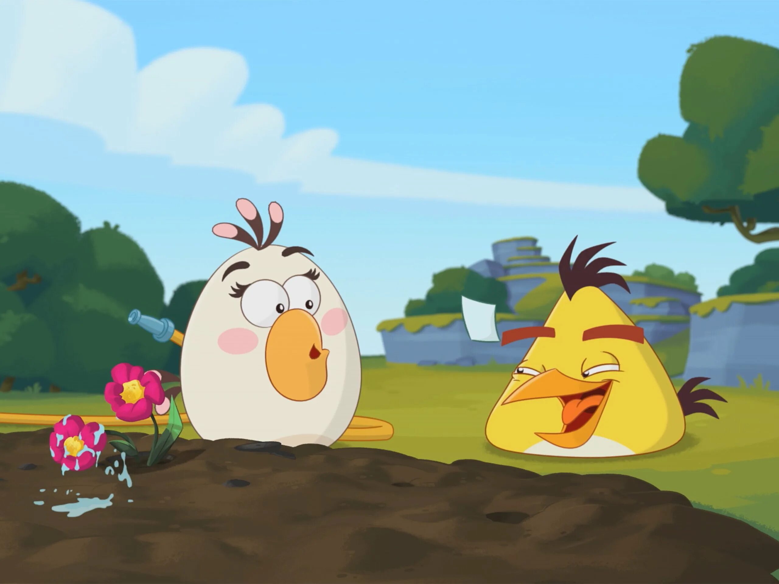 Angry birds toons episode. Сердитые птички 2013. Angry Birds Seasons Чак. Angry Birds toons Чак.