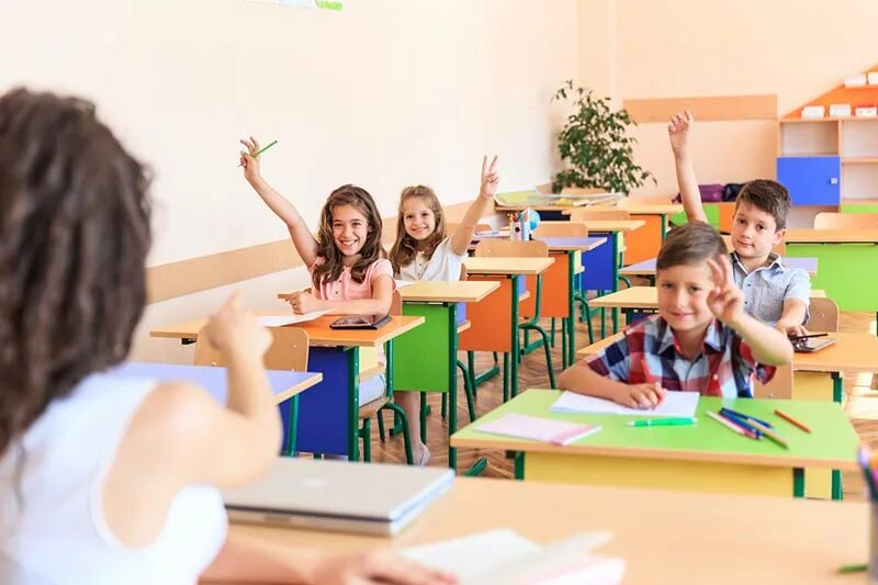 Students in the Classroom. Класс Сток. Child raising hand to answer question. Classroom questions