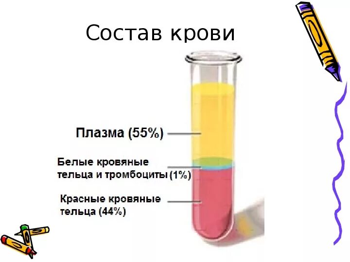 Плазма это кровь. Плазма крови после центрифугирования. Состав крови состав сыворотки плазмы крови. Состав крови плазма и сыворотка крови. Отличие состава плазмы и сыворотки крови.