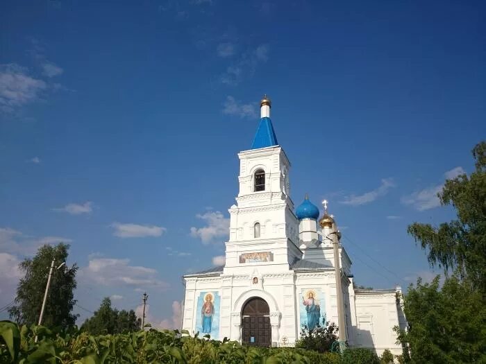 Москва выселки. Андреевские Выселки Шатура Церковь. Андреевские Выселки Шатура. Спасо Преображенский храм Андреевские Выселки. Храм Спаса Преображения в Андреевских Выселках.