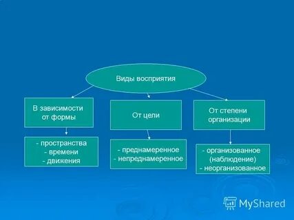Виды восприятия восприятие времени движения пространства
