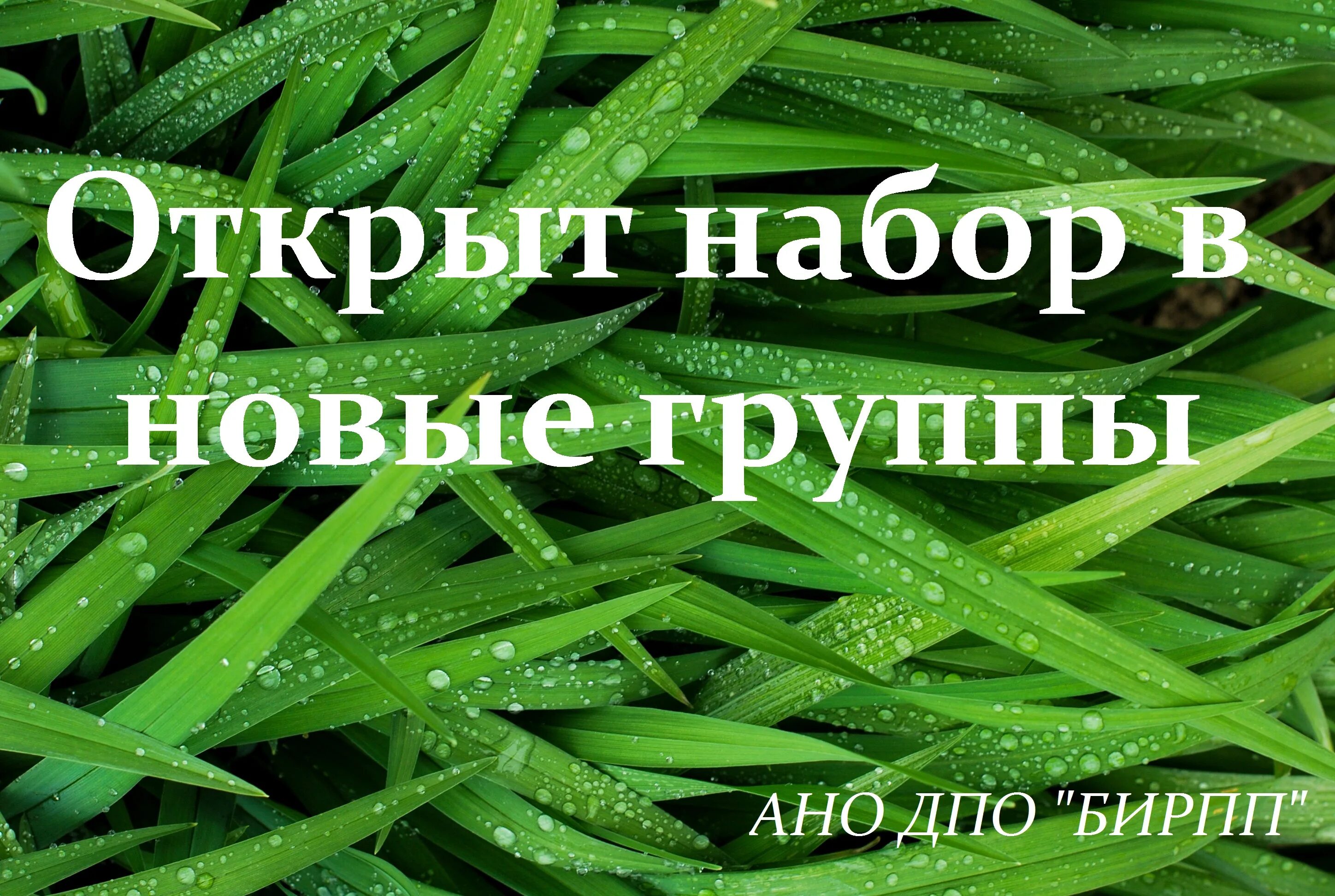 Набор новых групп. Набор в новую группу. Открыт набор в новые группы. Открыт набор картинка. Набор в новые группы картинка.