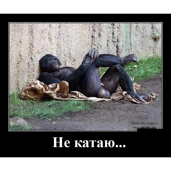 Ничего ни есть ни пить. Ничего ни есть ни пить