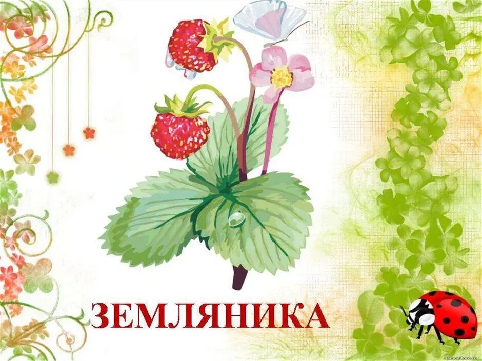Лекарственные растения для дошкольников. Лекарственные растения для дошкольников. Лекарственные растения в доу. Лекарственные травы для дошкольников. Лекарственные травы для дошкольников.