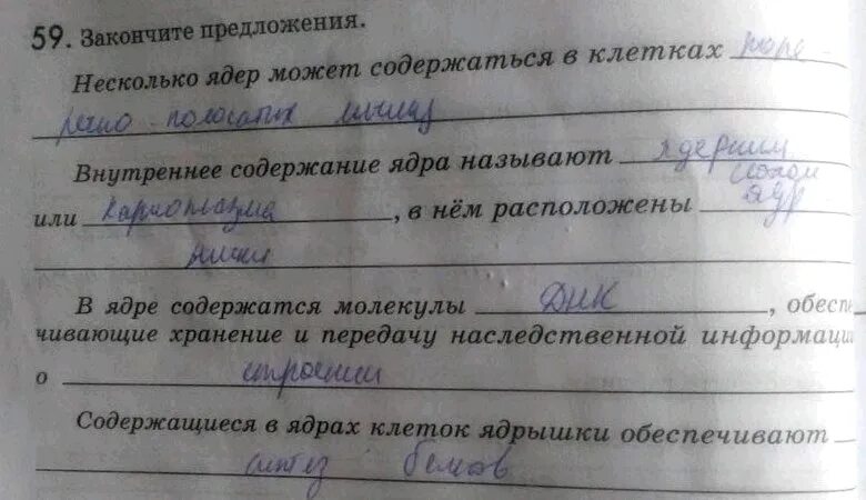 Закончите предложения биология. Несколько ядер может содержаться в клетках. Закончите предложения несколько ядер может содержаться в клетках. Содержат много ядер. Внутреннее содержание ядра.