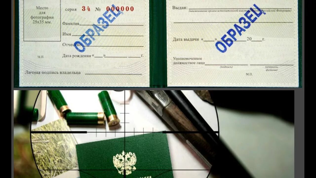 Охотничий минимум 2025 для получения охотничьего билета. Охотничий минимум 2025 для получения охотничьего билета