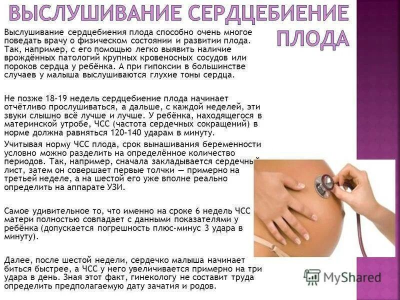 Можно почувствовать сердцебиение плода. Сердцебиение плода. Проведение выслушивания сердцебиения плода. Методика аускультации сердцебиения плода. Сердцебиение плода приглушено.