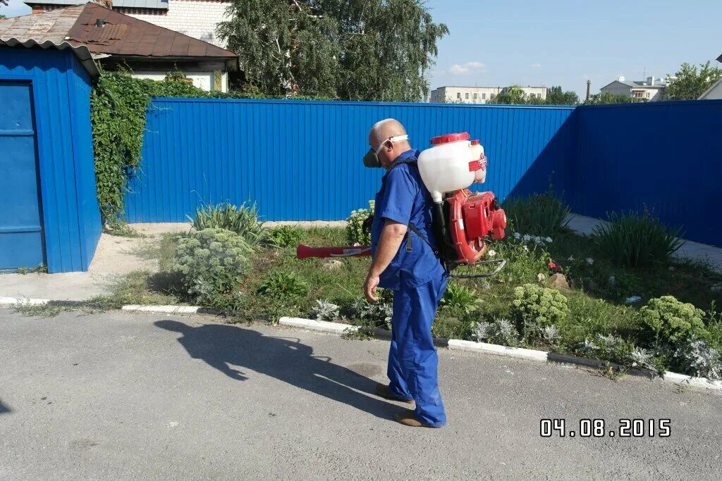 Ветклиника станция по борьбе с болезнями животных. Елецкая городская сббж. Нововет ветеринарная клиника новосибирск. Лучковская 6а елец. Ветеринарная клиника елец.