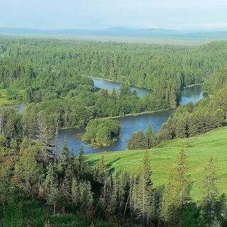 Бореальные ландшафты
