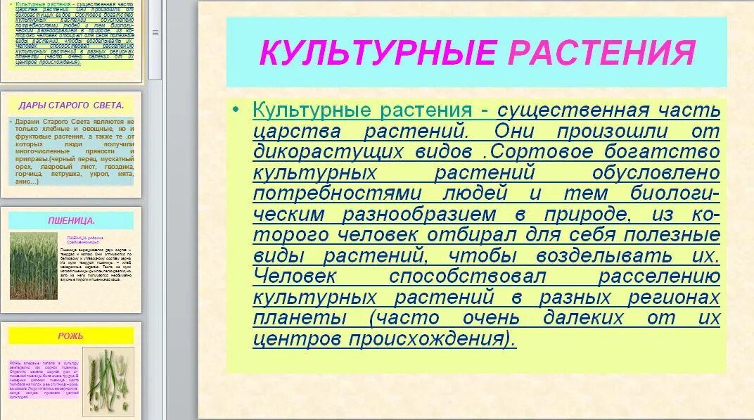 Книга о культурных растениях тема сообщения. Доклад о культурном растении 2 класс окружающий мир. Культурные растения презентация. Доклад о культурном растении. Презентация на тему культурные растения.