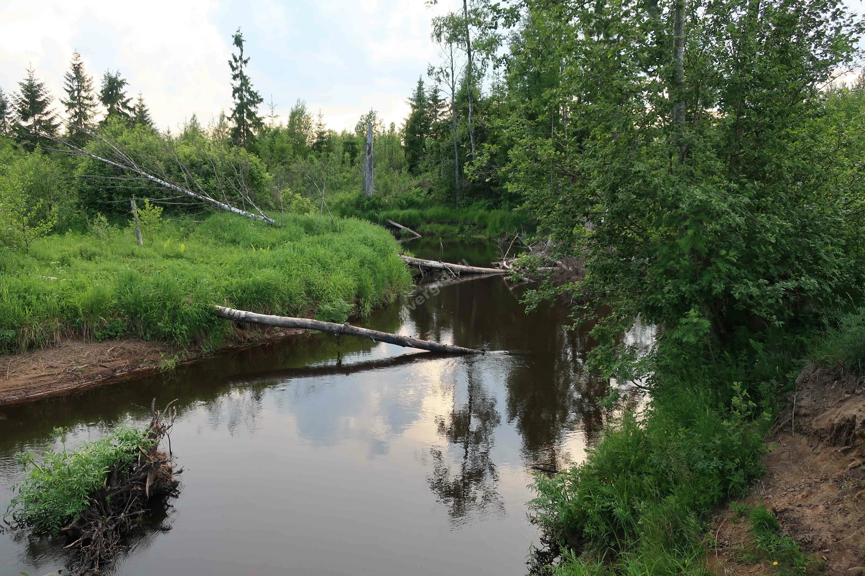Файл:Вьюнка - panoramio.jpg - Википедия