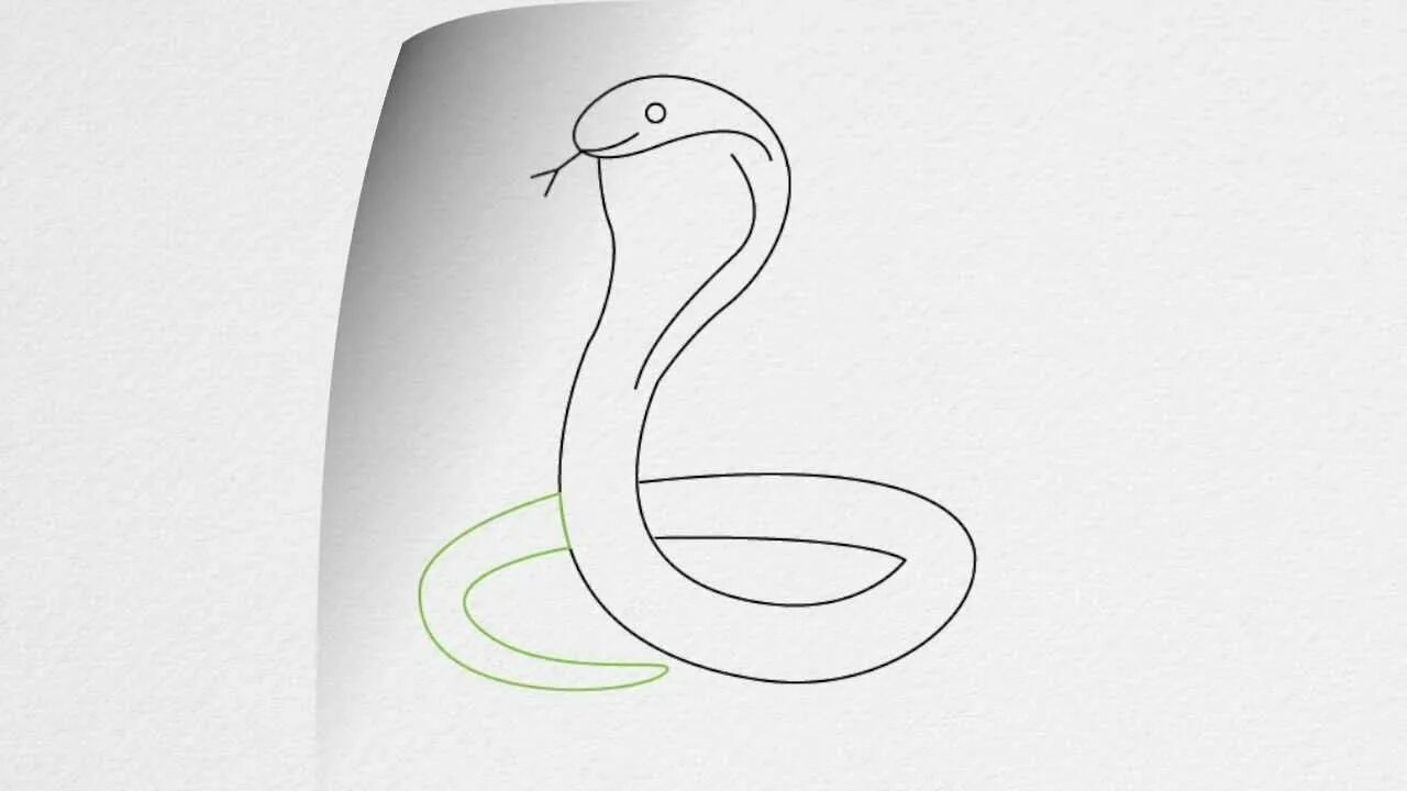 Простая змейка. Змея карандашом. Рисунок змеи карандашом для срисовки. Змея рисунок легкий для срисовки. Лёгкие рисунки змеи.