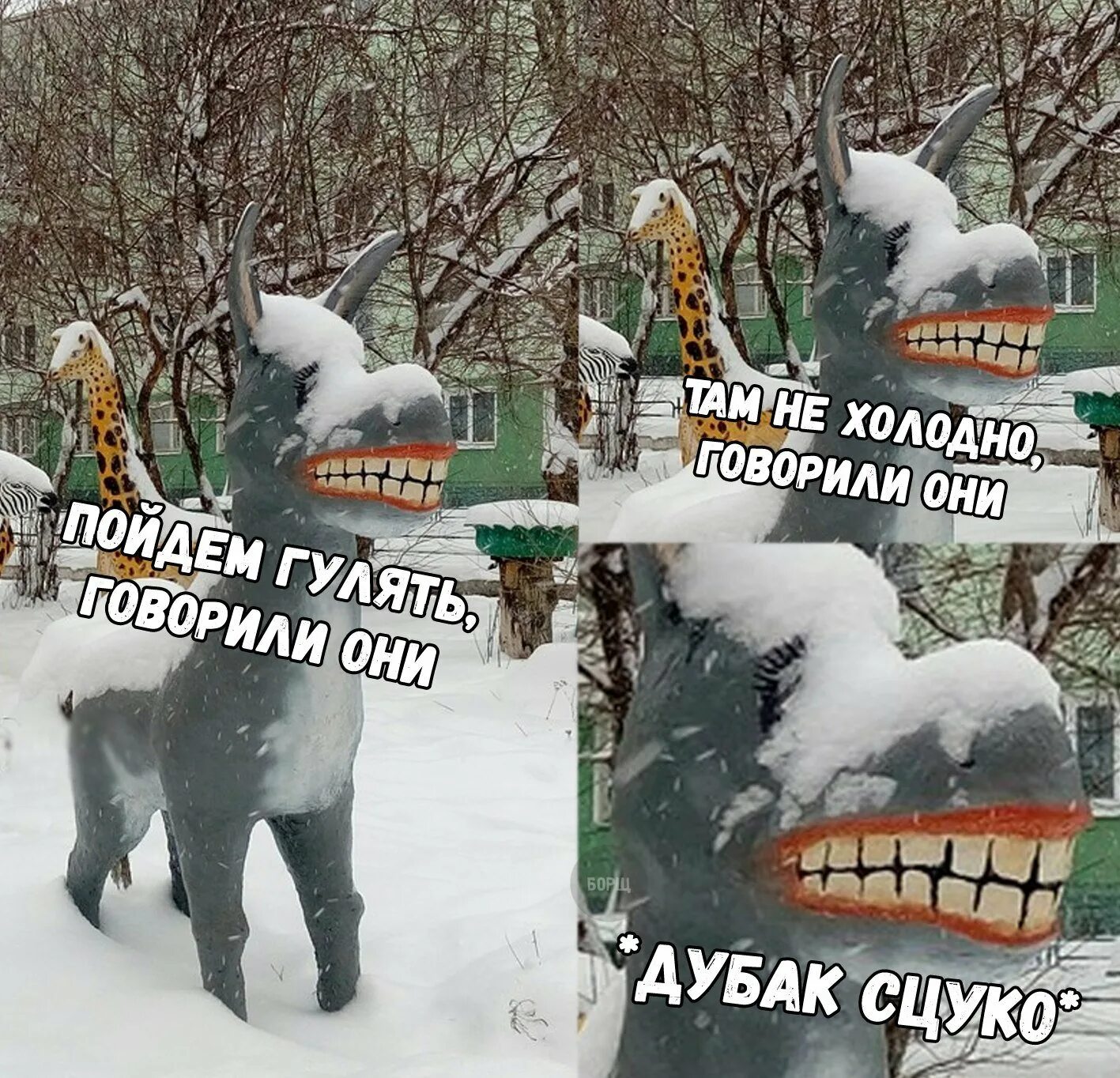 Я жду весну. Кошке холодно. Мартовский кот. Наконец то тепло пришло. Акция покорми птиц зимой.