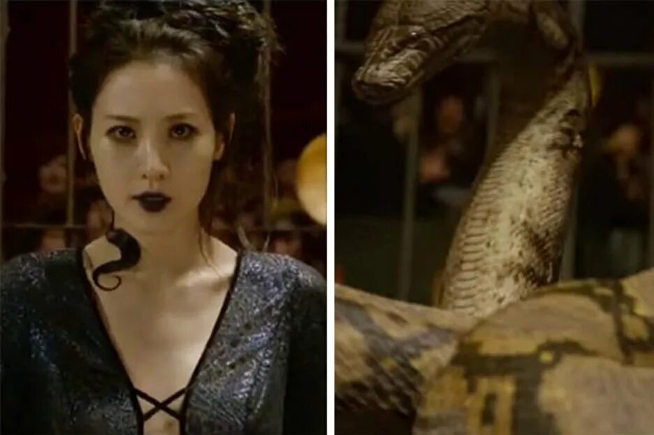 Рики тики тави наг и нагайна. Кто такие нагайна почему люди их боялись. Кто такие нагайна почему люди их боялись. Кто такие нагайна почему люди их боялись. Кобра нагайна рикки тикки.