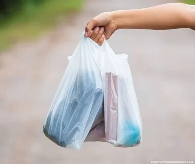 Первые полиэтиленовые пакеты