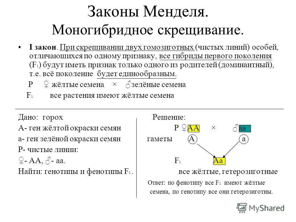 Генотипе доминантного гомозиготного организма. При скрещивании двух гомозиготных 1 закон. Закономерности наследования моногибридное скрещивание. Законы наследования признаков при моногибридном скрещивании. Гибриды первого поколения при моногибридном скрещивании.