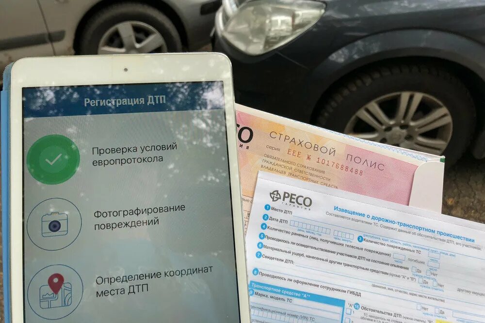 проверить водителя по водительскому удостоверению. проверить дтп по правам. база гибдд водительских прав лишения. проверка штрафов. штрафы гибдд спб.