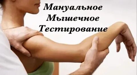 Мануально мышечное