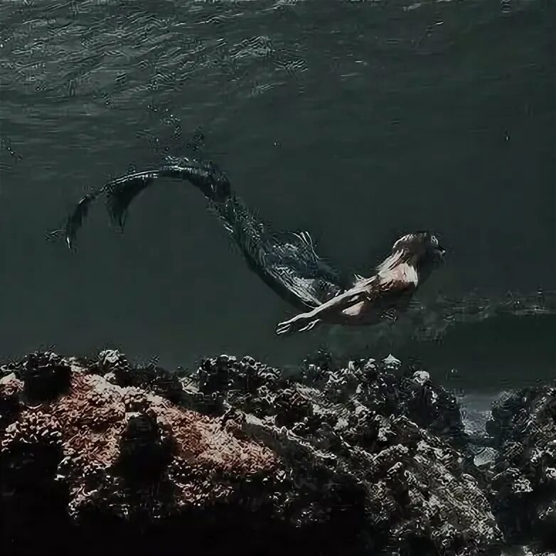 Настоящие русалки. Настоящие русалки в море. Русалка. Фотосессия в стиле русалки. Русалки в крыму настоящие.