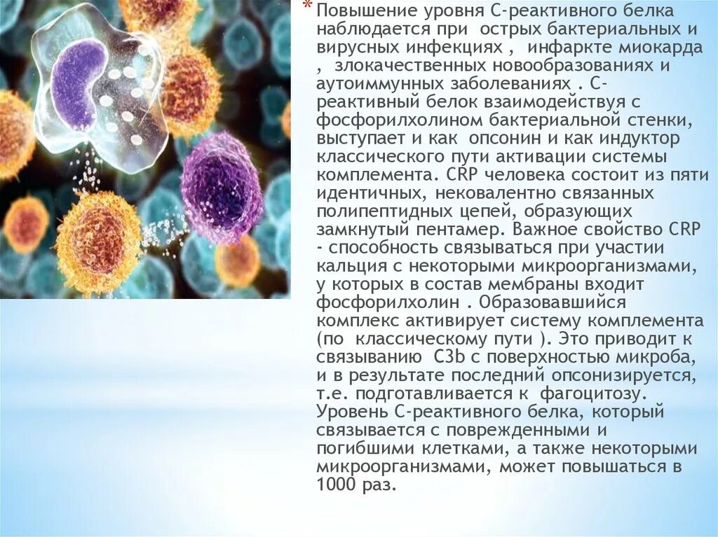 Повышение Среактивного белка. При повышение с-реактивного белка. Уровень с-реактивного белка. С-реактивный белок при артрите.